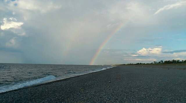 b0088444_20463566.jpg