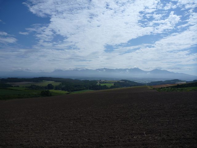 b0195144_78184.jpg
