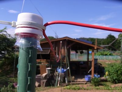 c0063348_2118843.jpg