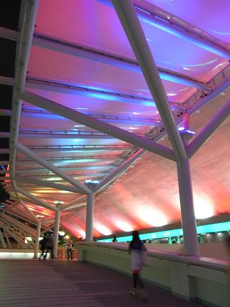 e0047657_3583040.jpg