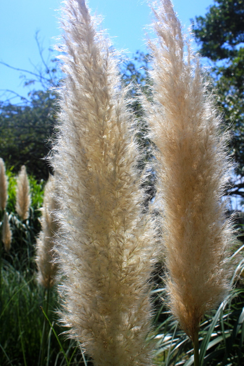 a0248459_19322581.jpg
