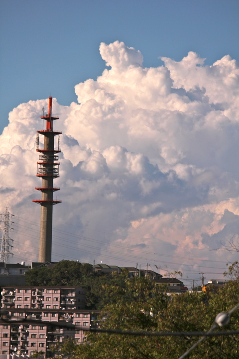 a0248459_1934236.jpg