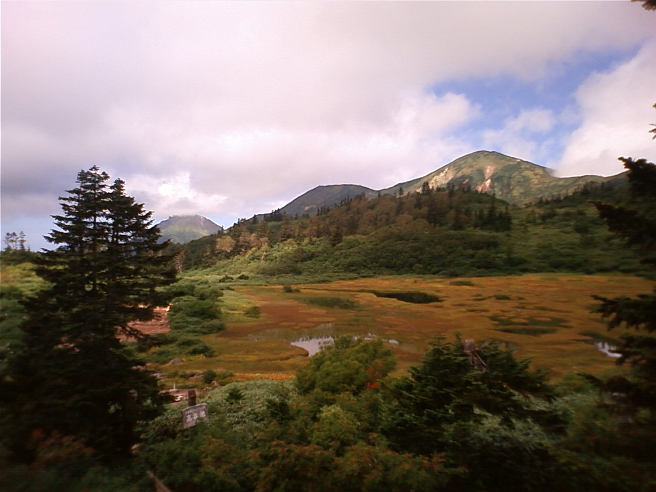 a0248459_19373272.jpg
