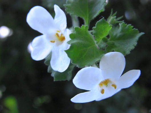 c0247861_64575.jpg