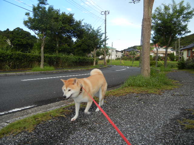 ’12,9,15(土)思い返してみれば・・・_f0060461_11174624.jpg