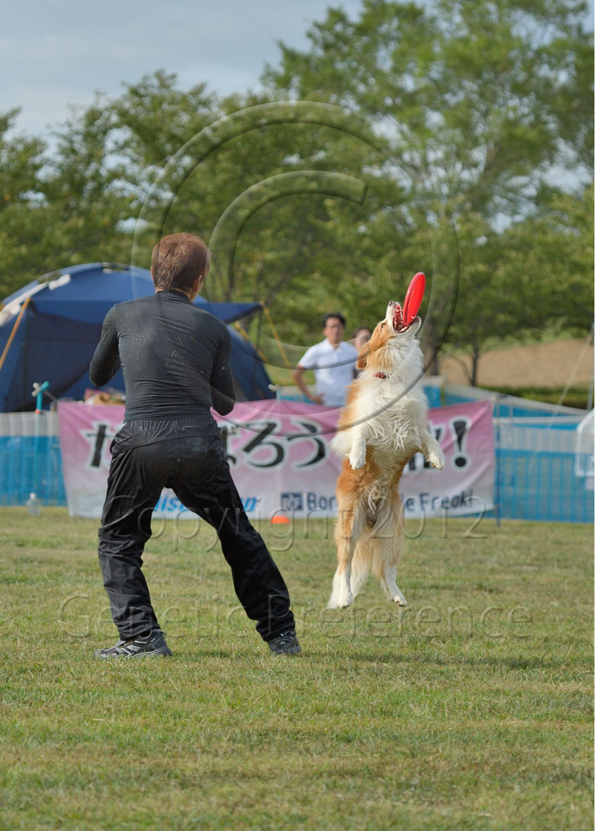 K9 Game11th 神戸農業公園　Vol.10_a0111162_17125586.jpg