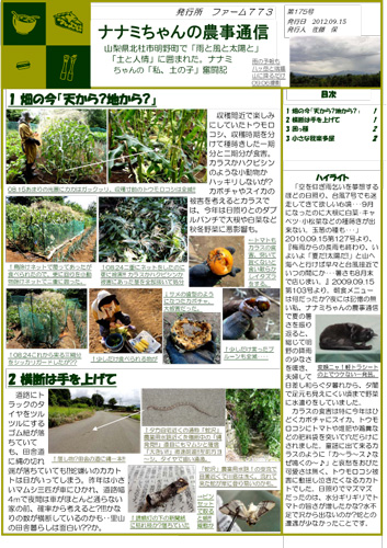 『ナナミちゃんの農事通信』第175号_d0078471_8125432.jpg