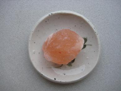 朝のPink***_e0290872_646516.jpg