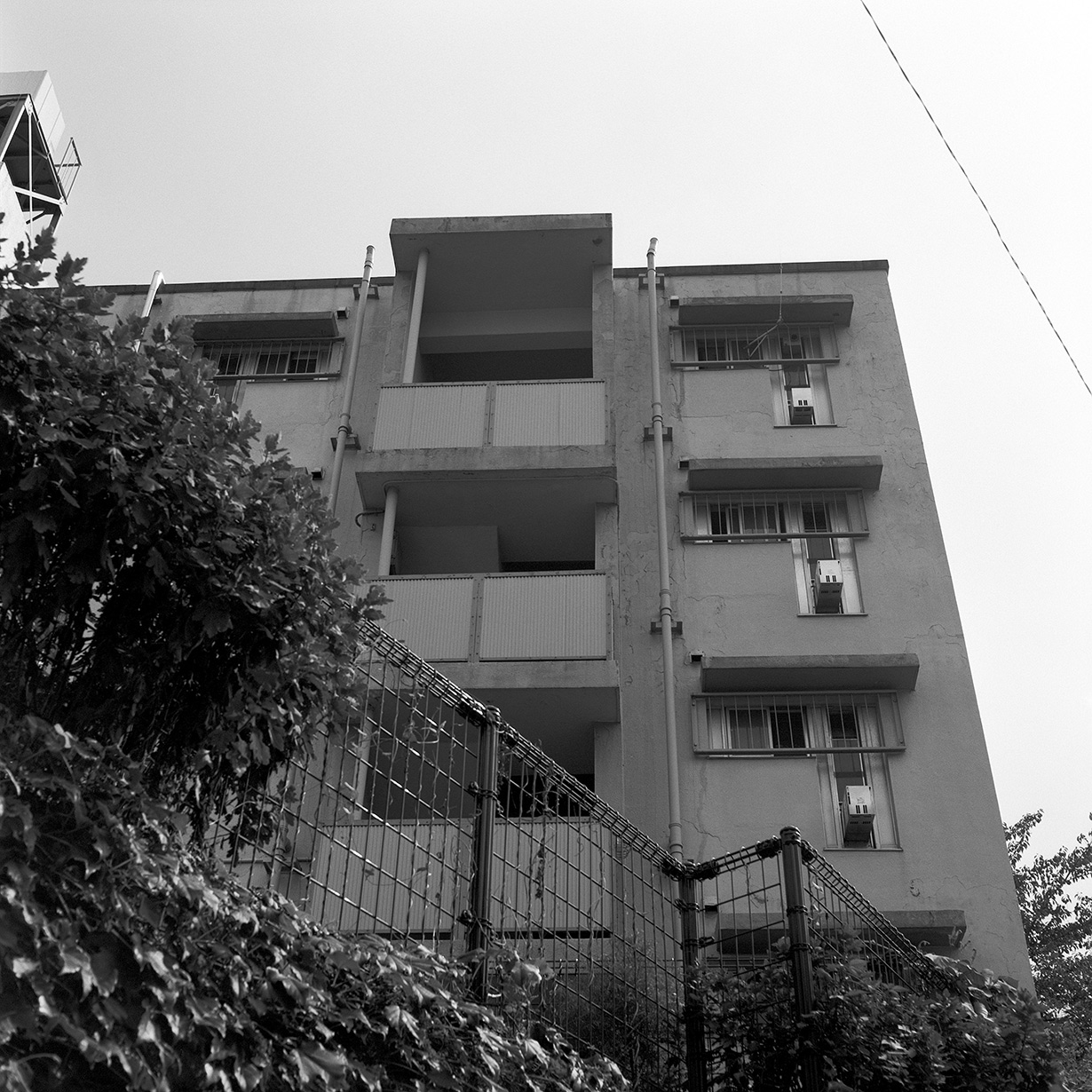 f0121181_349617.jpg