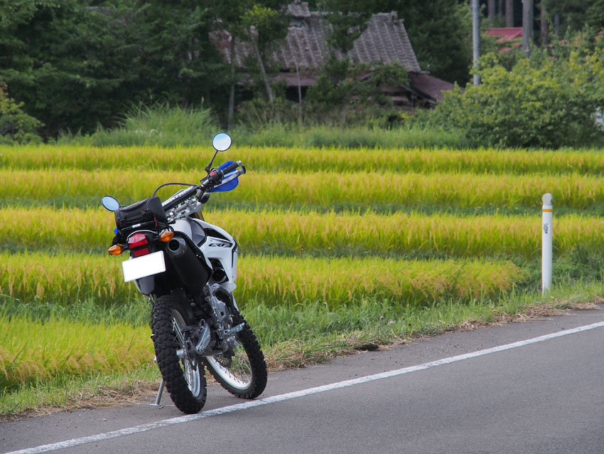 d0244687_2321691.jpg