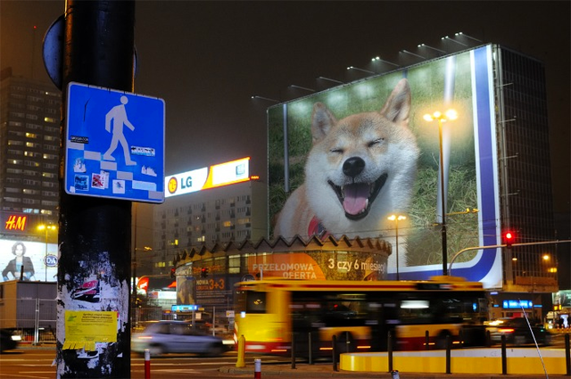 a0126590_2154126.png