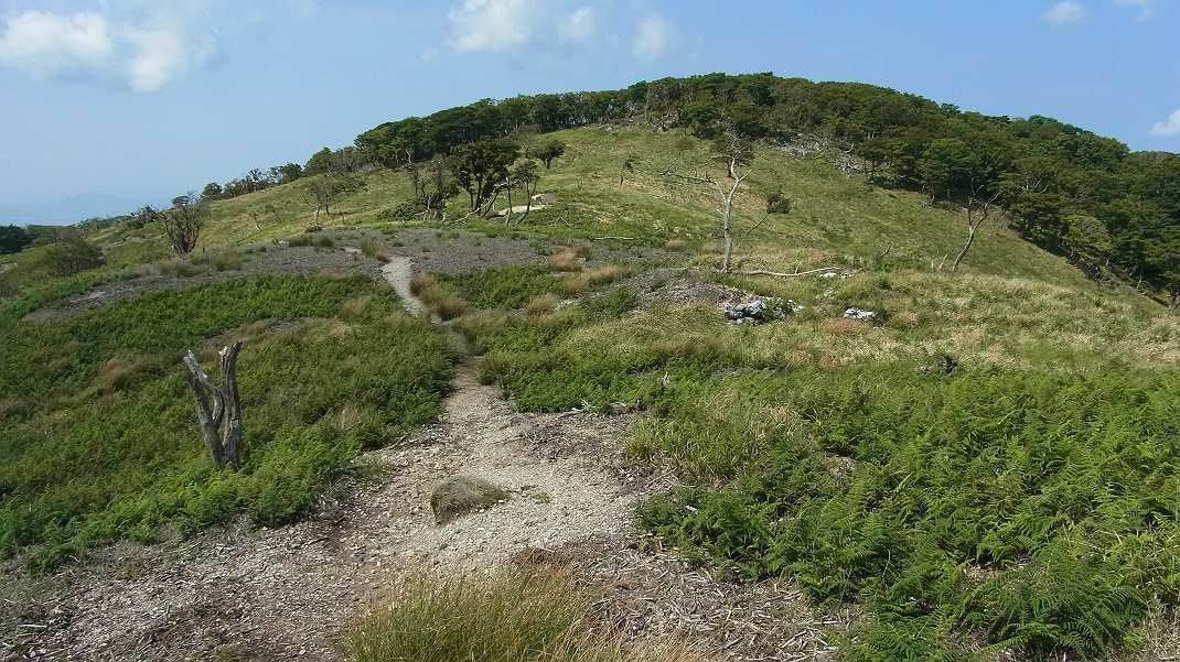 a0152692_18444766.jpg