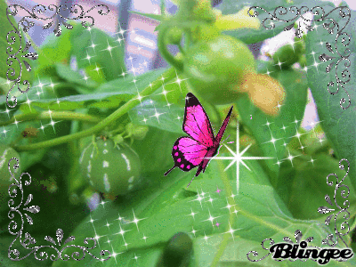 c0078592_9183569.gif