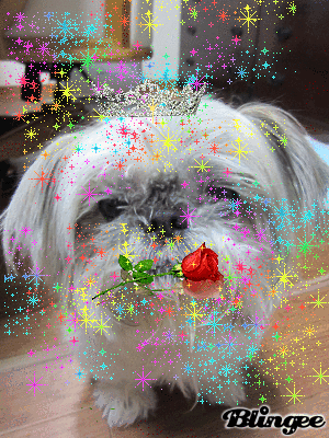 c0078592_9392080.gif