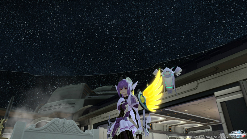 ＰＳＯ２　その１４_a0076193_0264828.jpg