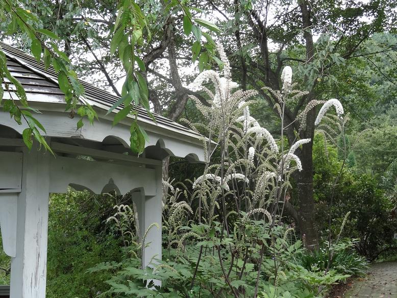 f0075595_2113289.jpg