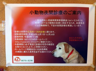 ペット夜間対応について_d0178999_17422980.jpg