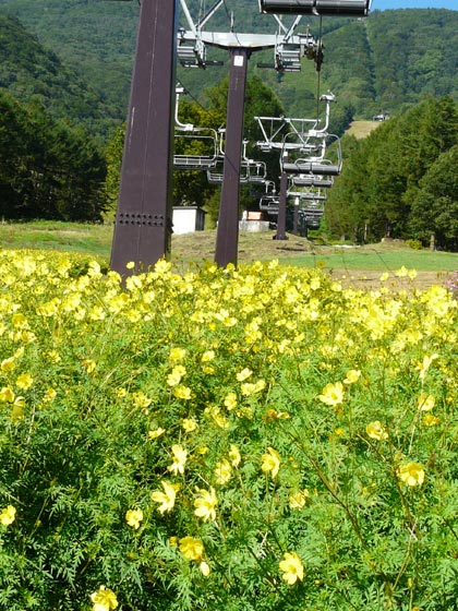 e0269400_849579.jpg