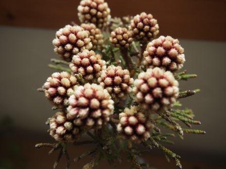 b0128101_1131639.jpg