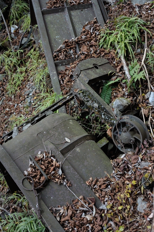 d0264503_029139.jpg