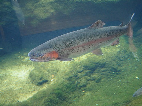 c0117007_14442.jpg