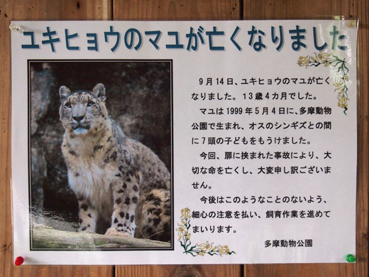 9月16日 日 悲しい事故 ほのぼの動物写真日記 9月16日 日 悲しい事故 ほのぼの動物写真日記