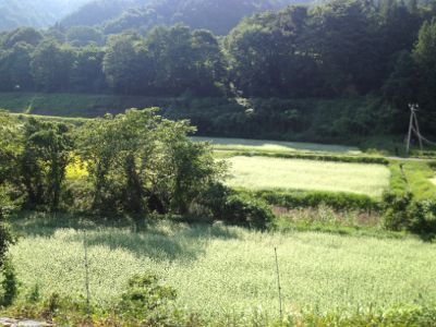 d0258215_10445130.jpg