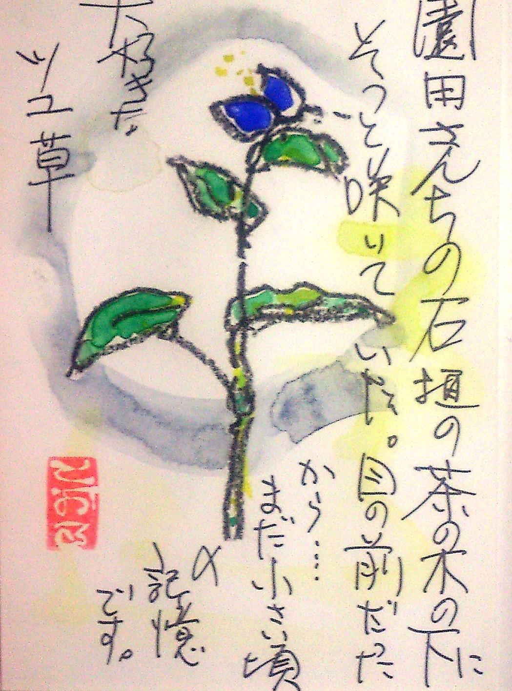 d0053616_148051.jpg