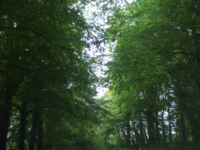 f0227218_22142774.png
