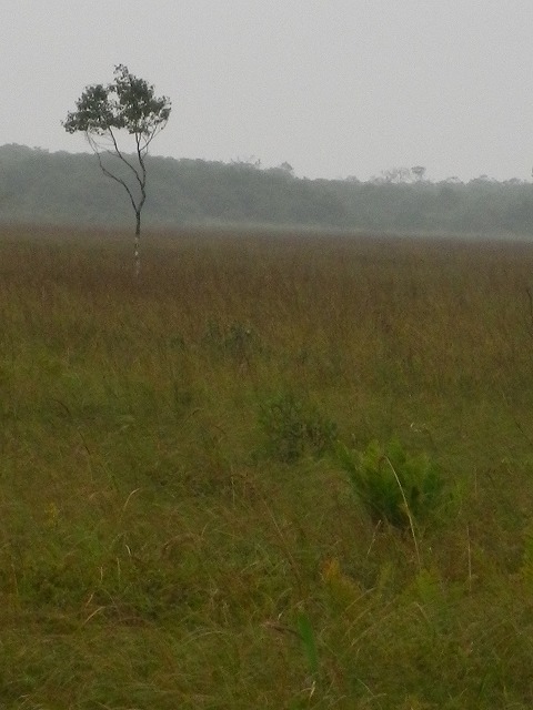 b0138522_15324950.jpg