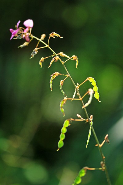 c0104227_7591390.jpg