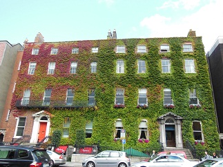 f0165730_1221423.jpg