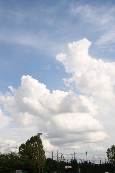 d0140533_89078.jpg