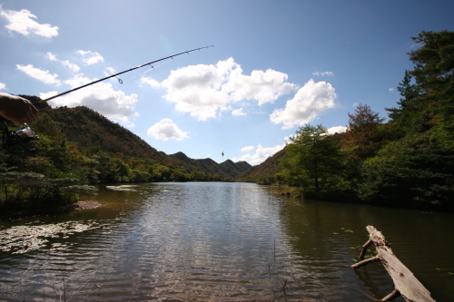 キャンプ IN 古法華自然公園 : without limit
