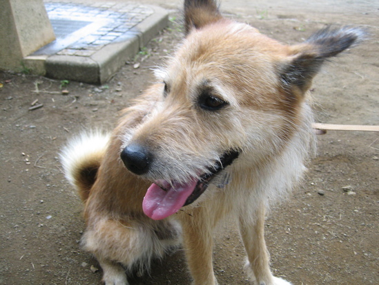 休日は大きな公園へ。_b0086939_13504910.jpg