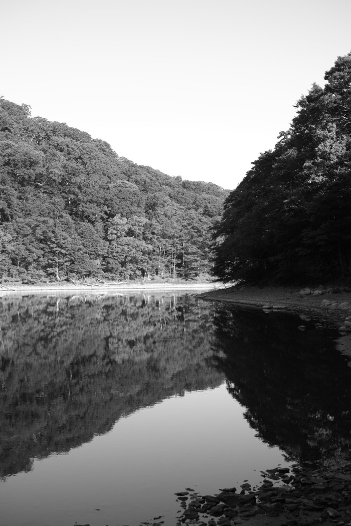 d0237340_20122180.jpg