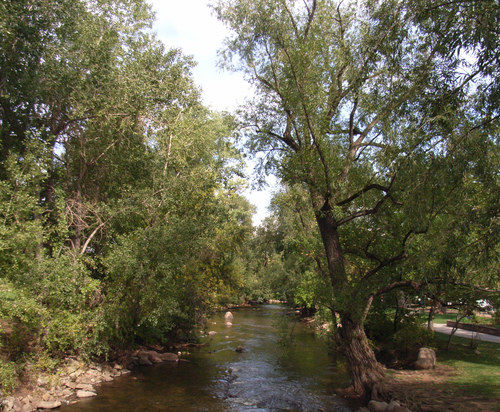 e0194142_14311872.png