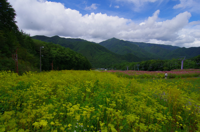 d0186245_1011239.jpg