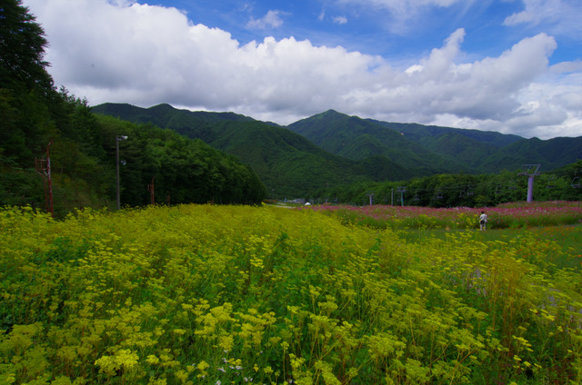 コスモスゲレンデ：治部坂高原スキー場_d0186245_1011239.jpg