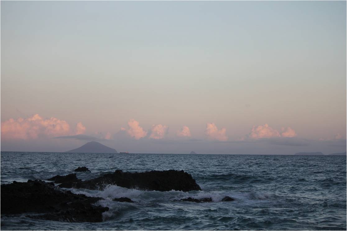 下田の大浜海岸で遊んだよ～ ♪♪_b0245048_914987.jpg