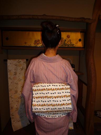 館林木綿に可愛らしい猫の帯のぼよさんの着姿。_f0181251_15364588.jpg