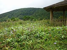 多里大山～道後山（鳥取県日南町側から）_b0156456_19212571.jpg