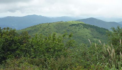 多里大山～道後山（鳥取県日南町側から）_b0156456_19314737.jpg