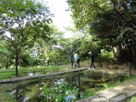 「青白く光るウミホタルわくわく観察会2012」 in せんなん里海公園_c0108460_1412880.jpg