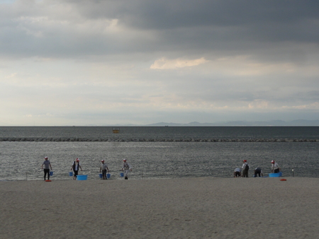 「青白く光るウミホタルわくわく観察会2012」 in せんなん里海公園_c0108460_1505826.jpg