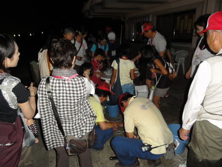 「青白く光るウミホタルわくわく観察会2012」 in せんなん里海公園_c0108460_2132744.jpg