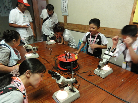 「青白く光るウミホタルわくわく観察会2012」 in せんなん里海公園_c0108460_251397.jpg