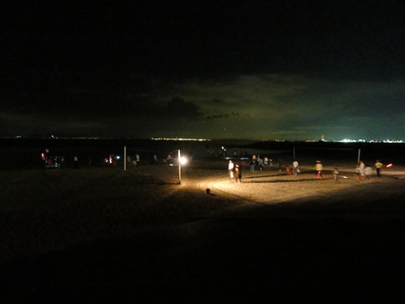 「青白く光るウミホタルわくわく観察会2012」 in せんなん里海公園_c0108460_284774.jpg