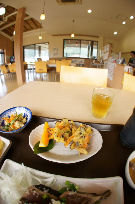 カツオふれあいセンター 黒潮一番館_a0077663_18415549.jpg