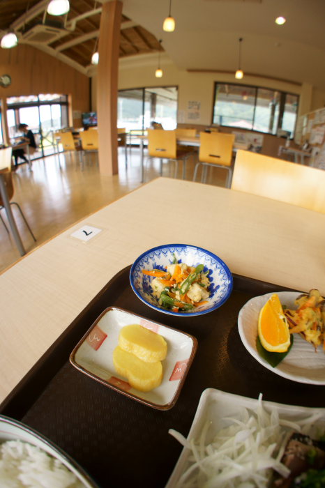 カツオふれあいセンター 黒潮一番館_a0077663_1842931.jpg